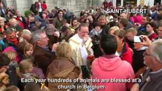 Pets get blessed at Belgian St. Hubert ceremony