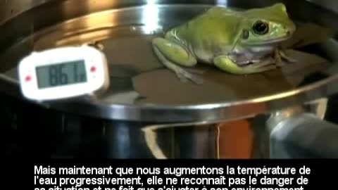 L'Allégorie de la grenouille