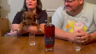 Bardstown Bourbon Company Fusion Series #6 Review