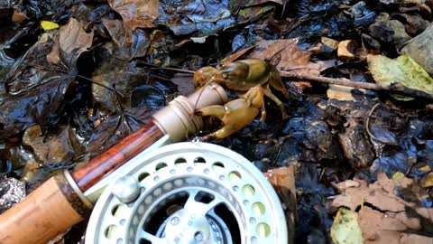 Fly-Fishing Crane Creek