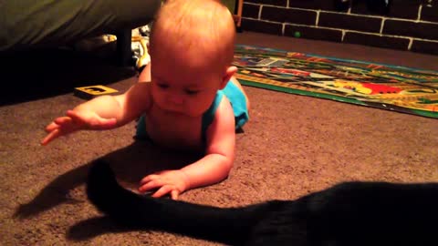 Baby enjoys playtime with the family cat