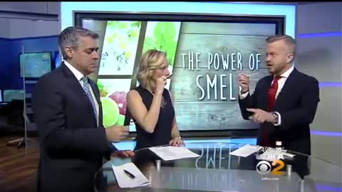 Alpha Aromatics Proving Smell Can Be A Powerful Sensation