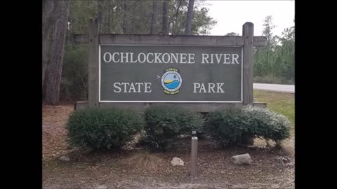 The day trip to Ochlockonee River State Park