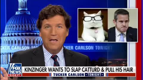 Tucker Carlson roasting Adam Kinzinger for threatening Catturd