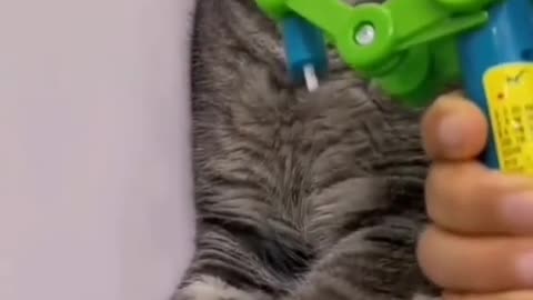 "Purrfect Playtime: The Toy Trickery That Leaves Your Cat Hungry for More!"