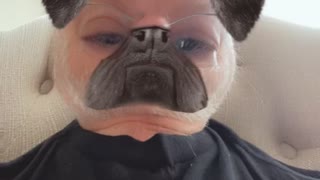 Pug complains about haircut in native tongue.