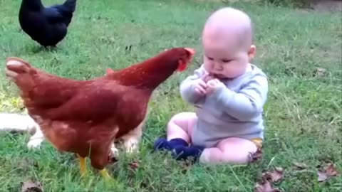 Cutest Kids and Animals Compilation