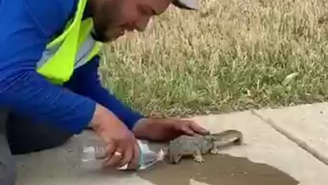A kind person who gives water to a squirrel