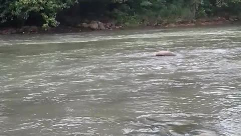 the Atmosphere of the Aceh Biereun River