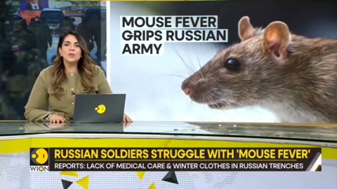 Dec 24, 2023-Watchman News-Luke 2:16-20-Mouse Fever hits Russian soldiers, Iran strikes Ship + More!