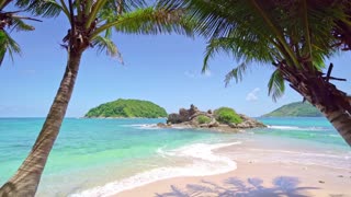 4K Tropical Beach & Palm Trees on a Island, Ocean Sounds, Ocean Waves, White Noise for Sleeping