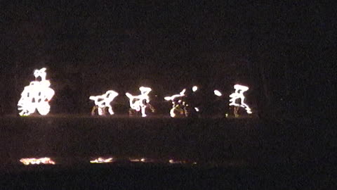 Christmas Lights at Wickham Park (2001-12-04)