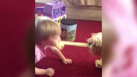 Little Girl And Dog Play Tug Of War With Socks