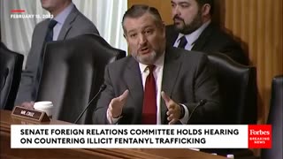 Ted Cruz Presses DEA Chief About Drugs And The Border