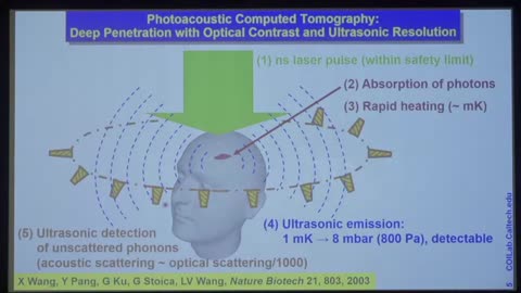 2019 IEEE EMBS Workshop - Lihong Wang on Photoacoustic tomography from organelles to humans