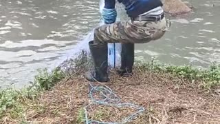 Catching 100 fish with 1 net!