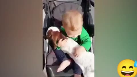Funny babies and dog's 🤣😂