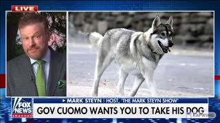 Former Gov. Cuomo Allegedly Begged Staffers to Take His Dog