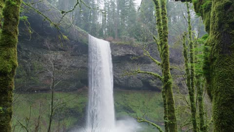 Waterfalls hidden in forest