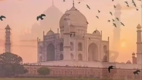 आप ताज महल के बारे में ये नही जाते होंगे 😱 | Facts | Amazing Facts | Taj Mehal #shorts #viral #yt20