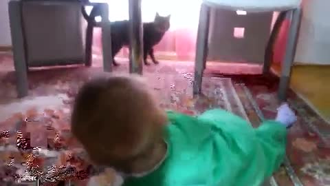 Little baby and Cat