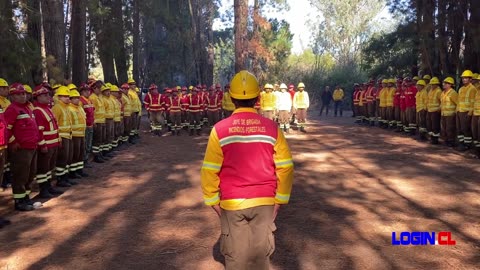 Conaf destacó el cumplimiento de protocolos de seguridad para combatir incendios forestales