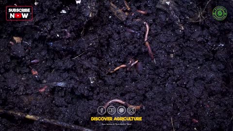 Role of Earthworms in Agriculture | How do Earthworms help Farmers