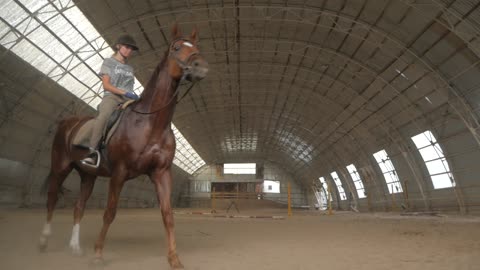 a girl trains a horse in an arena horse riding h