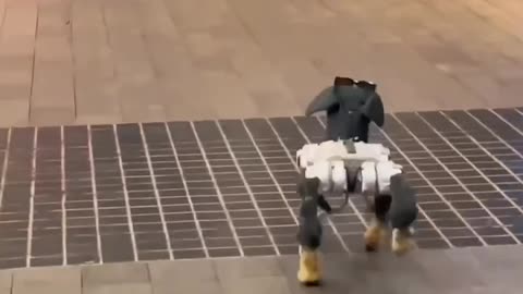 Funny dog vs robot video | Funny videos😂