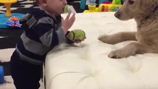 Baby Gives Dog Pacifier!