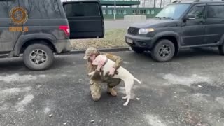 Dog is handed over to former Ukranian PoW