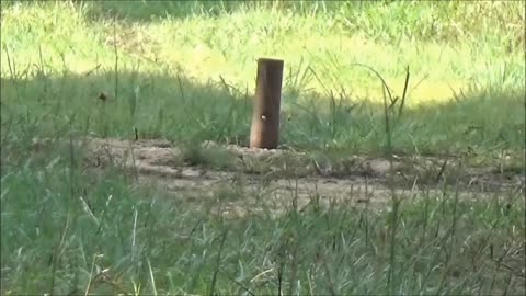 7mm08 Rips up a Pipe