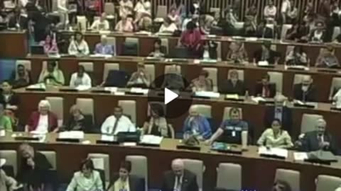 2006 UN Council meeting re: chemtrails