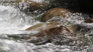 Great Smoky Mountains Moment 3