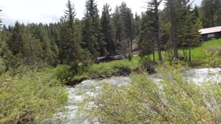 Mammoth Creek June 2023