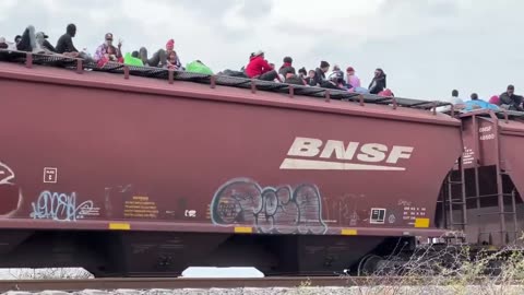 Mexico 🚨 Southern Border - Looks like the GRAVY TRAIN is back up and Running