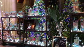 Festive Holiday Vendor, Lobby Hyatt Waikiki