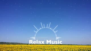 Relaxing Music | Sleeping, Meditation, Stress Relief | [8029] ⭐️