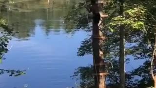 Bad Rugburn on Rope Swing