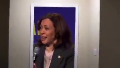 THIS LADY IS the ＂Vice President of the United States of America, Kamala Harris.