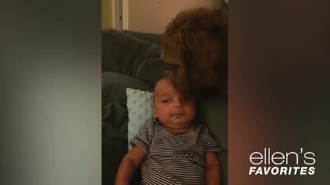 the incredible joy of children playing with the puppies