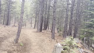 Hiking Deschutes River Shoreline Trail – Central Oregon – 4K