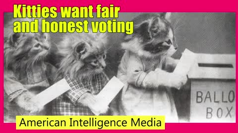 AIM cats demand fair and honest elections