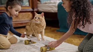 beautiful cat playing with kids