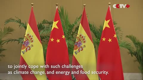 Xi Meets Spanish PM in Bali