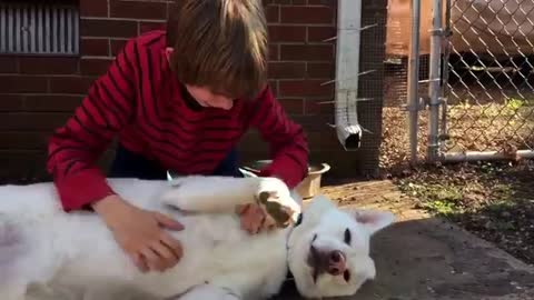 Boy and dog reunion surprise after a year apart