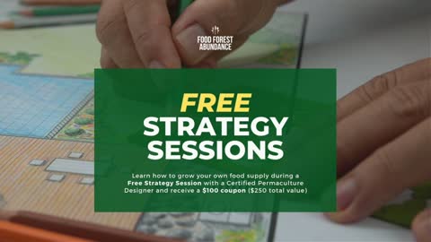 Book a FREE strategy session with us and receive a $100 design credit