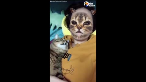 Funny moments Cat and Dog