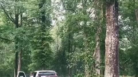 Truck Gets Lifted While Attempting To Pull Broken Limb Off a Tree