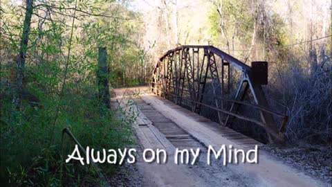 My cover of "Always On My Mind"